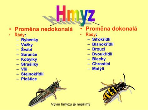 proměna dokonalá a nedokonalá rozdíl|Proměna dokonalá